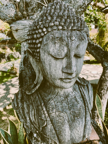 Visit temples, markets, and villages